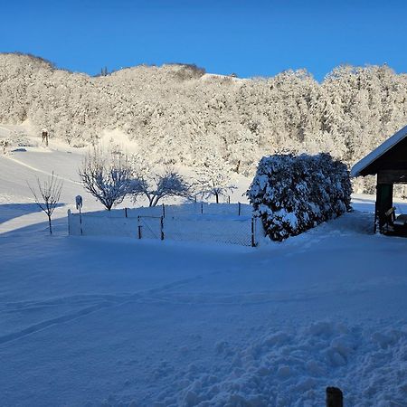 Вилла Francek House Podcetrtek Buce Экстерьер фото